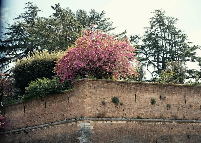 Vatican View - New Managment 2026 Appartamento Roma